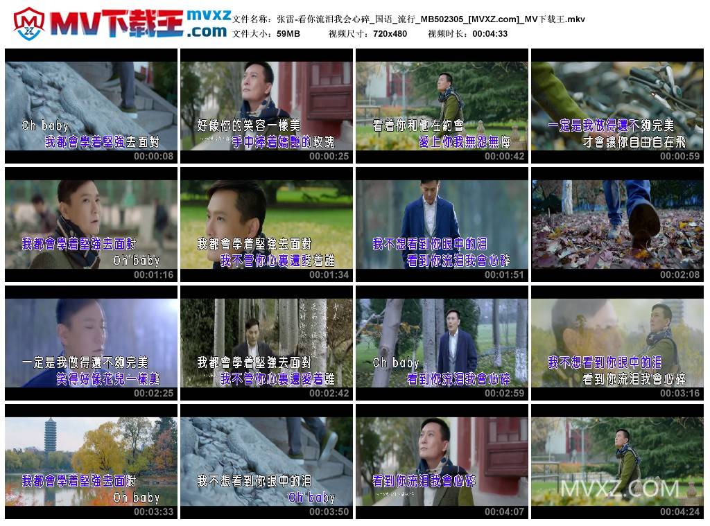 张雷-看你流泪我会心碎_国语_流行_MB502305